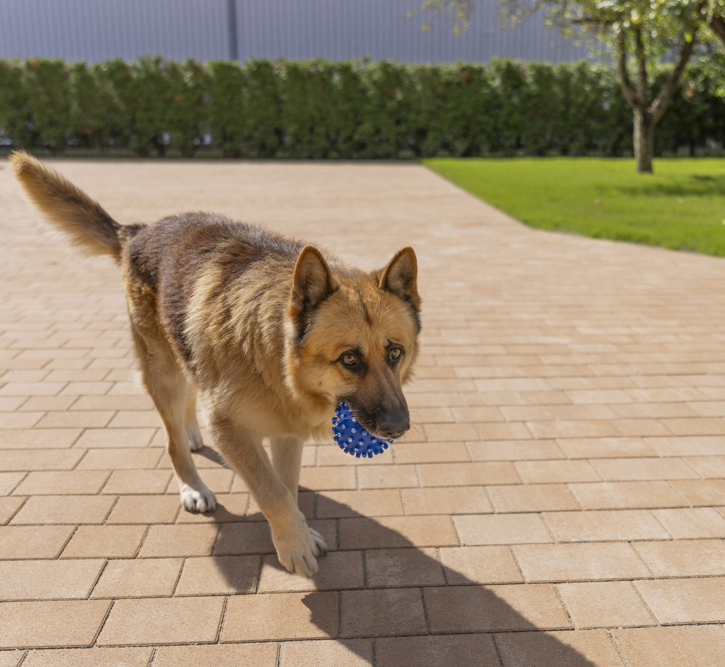 Leier Kaiserstein BALNEUM térkő