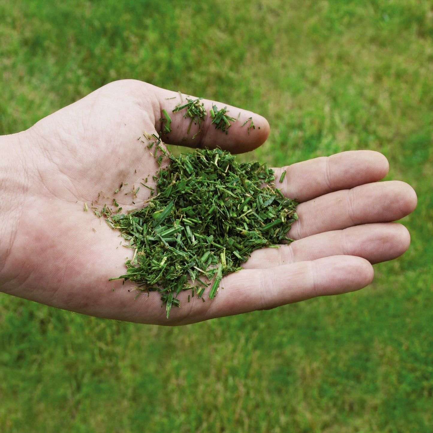 Einhell GE-CM 36/48 Li M-Solo | Akkus fűnyíró