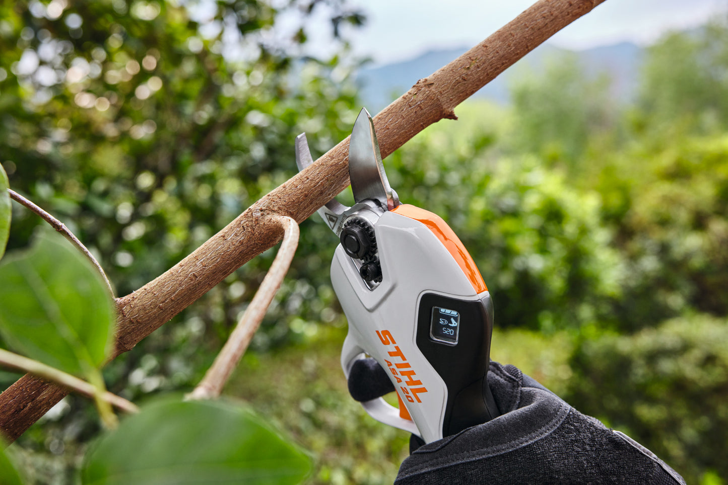 Stihl ASA 20 (akku és töltő nélkül) - Akkumulátoros ágvágók / Metszőollók / Gallyazó fűrészek