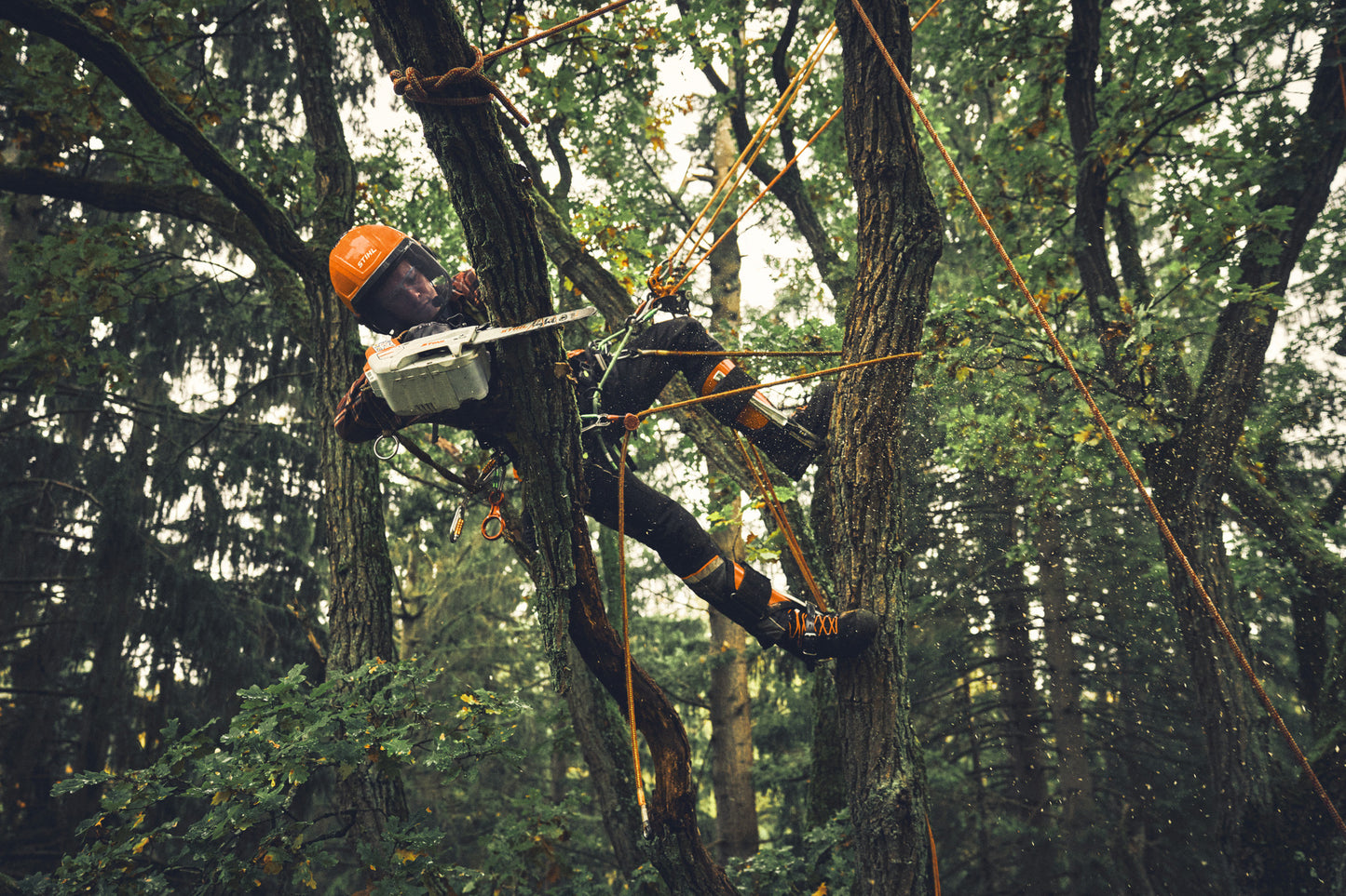 Stihl MSA 190 T (akku és töltő nélkül) - Motorfűrész