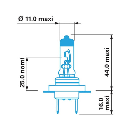 Berner Halogén lámpa