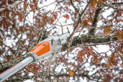 Stihl HTA 50 (akku és töltő nélkül) - Magassági ágnyeső