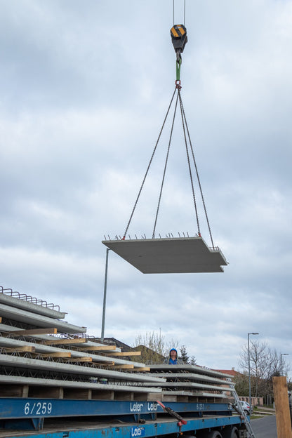 Leier mesterpanel födém (LMP)