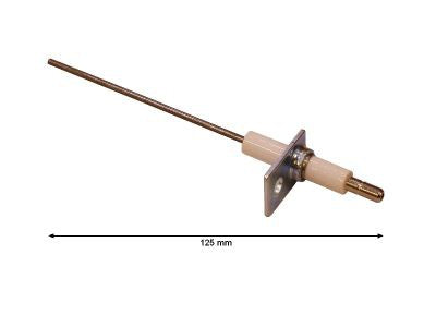 Master Ionizációs elektróda BLP100E